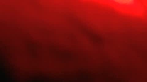 rockhead1953 online show from February 12, 2026, 12:00 pm