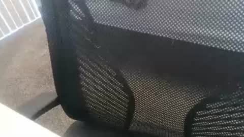 1chris505 online show from January 2, 2025, 6:01 pm