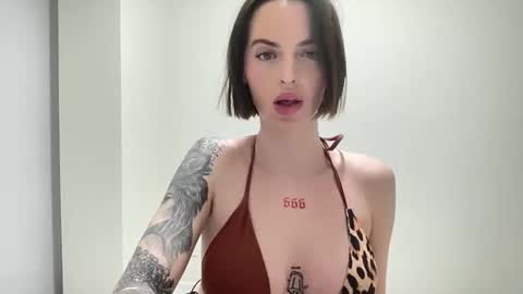 Snapshot of 1dove chatting on March 6, 2026, 7:43 pm DOVE online show from March 6, 2026, 7:43 pm