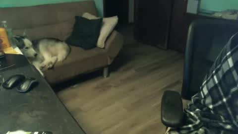 Snapshot of 1handyanddee chatting on November 30, 2025, 1:53 am 1handyanddee online show from November 30, 2025, 1:53 am