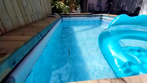 247nude1987 online show from November 9, 2025, 11:47 pm