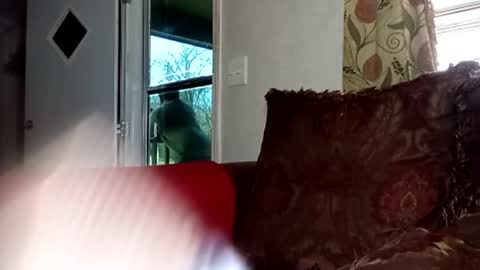 Snapshot of 2ccjbstar chatting on February 22, 2026, 4:16 pm BlacJewels online show from February 22, 2026, 4:16 pm