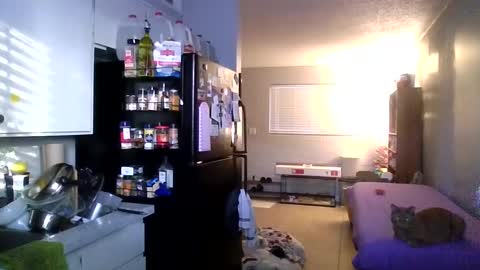 2girls1link online show from December 31, 2024, 3:31 pm