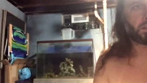 33adidas online show from November 26, 2025, 8:48 am