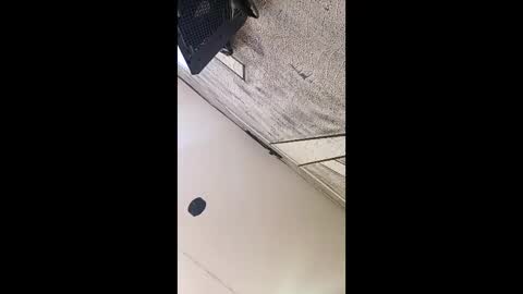 3X NAXAA online show from March 3, 2026, 1:17 pm