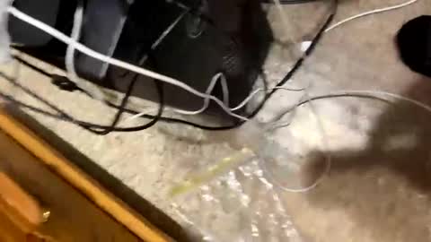 Snapshot of 420bbwadmirer chatting on January 4, 2025, 3:17 pm 420bbwlover online show from January 4, 2025, 3:17 pm