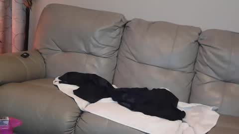 Snapshot of 4theloveofjane chatting on January 1, 2025, 8:04 pm Jane online show from January 1, 2025, 8:04 pm