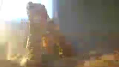 Zeus online show from July 12, 2026, 12:01 am