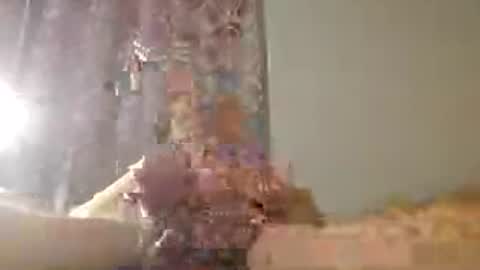 Zeus online show from July 15, 2026, 1:33 am