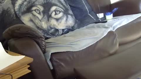 Snapshot of 66bear chatting on March 9, 2026, 12:53 pm 66bear online show from March 9, 2026, 12:53 pm