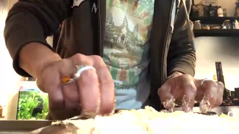 6990fiko online show from February 1, 2025, 5:47 pm