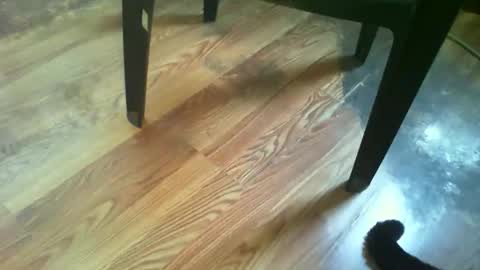 Snapshot of 69forever453443 chatting on November 14, 2025, 1:43 pm 69forever453443 online show from November 14, 2025, 1:43 pm