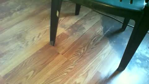 Snapshot of 69forever453443 chatting on November 19, 2025, 1:22 pm 69forever453443 online show from November 19, 2025, 1:22 pm