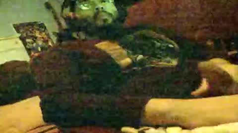 Snapshot of 6instraighter7 chatting on November 3, 2025, 11:55 am 6instraighter7 online show from November 3, 2025, 11:55 am