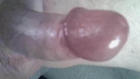 Snapshot of 81_harterschwanz chatting on January 9, 2025, 8:11 pm Maximilian Max online show from January 9, 2025, 8:11 pm