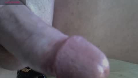 Snapshot of 81_harterschwanz chatting on November 13, 2025, 11:20 am Maximilian Max online show from November 13, 2025, 11:20 am