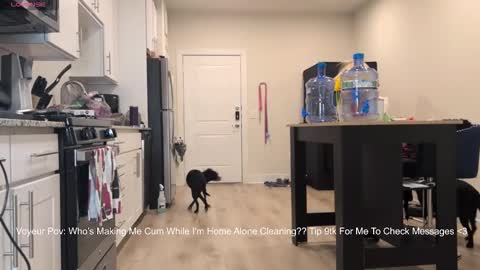 Snapshot of 888lucky chatting on February 14, 2026, 2:19 am 888lucky online show from February 14, 2026, 2:19 am