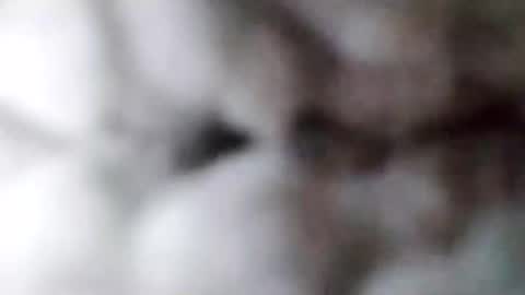 Snapshot of 88piterr88 chatting on February 17, 2025, 8:52 am 88piterr88 online show from February 17, 2025, 8:52 am