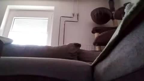 Snapshot of 88piterr88 chatting on February 24, 2025, 7:22 am 88piterr88 online show from February 24, 2025, 7:22 am