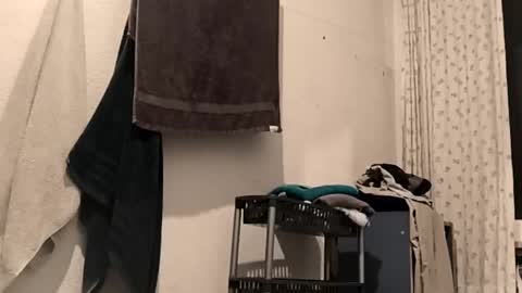 Snapshot of 88piterr88 chatting on February 25, 2026, 3:16 am 88piterr88 online show from February 25, 2026, 3:16 am