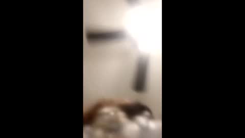 KittyPoo107 online show from June 11, 2026, 2:33 am
