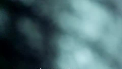 Snapshot of _black_horse_1 chatting on May 15, 2026, 11:01 pm _black_horse_1 online show from May 15, 2026, 11:01 pm