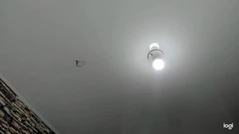 _casandra11 online show from January 23, 2025, 9:39 am