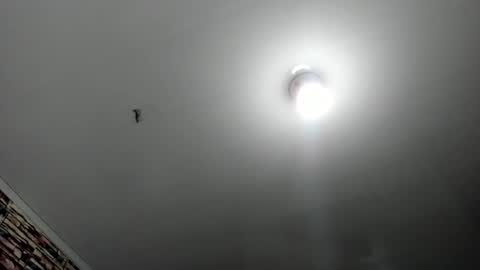 _casandra11 online show from February 17, 2025, 3:36 am