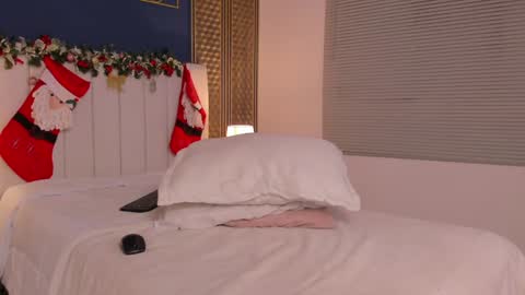 Snapshot of _dakota_a chatting on December 26, 2024, 9:47 pm Dakota online show from December 26, 2024, 9:47 pm