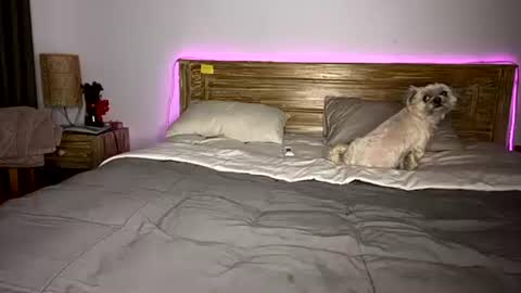 elisa online show from December 15, 2025, 8:07 am