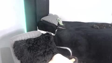 Proxy online show from September 25, 2025, 2:15 am