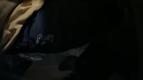 Snapshot of _ginger_boy chatting on December 2, 2024, 8:11 pm Ginger boy online show from December 2, 2024, 8:11 pm