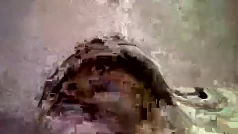 Snapshot of _hershey003 chatting on January 11, 2025, 8:33 am _hershey003 online show from January 11, 2025, 8:33 am