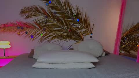 Snapshot of _ho11y_ chatting on January 27, 2025, 6:30 am Holly online show from January 27, 2025, 6:30 am