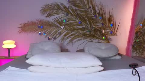 Snapshot of _ho11y_ chatting on February 9, 2025, 7:27 am Holly online show from February 9, 2025, 7:27 am