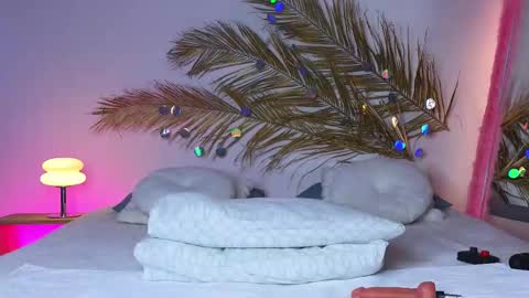 Snapshot of _ho11y_ chatting on February 20, 2025, 6:06 am Holly online show from February 20, 2025, 6:06 am