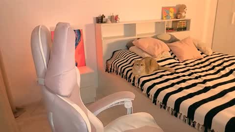 Amanda  mandy online show from November 23, 2025, 2:50 pm