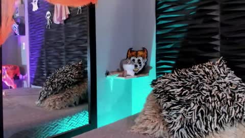 _lustyles_ online show from October 31, 2025, 4:02 am