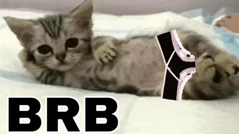 Snapshot of _meowmiko__ chatting on December 3, 2025, 11:25 pm miko3 online show from December 3, 2025, 11:25 pm