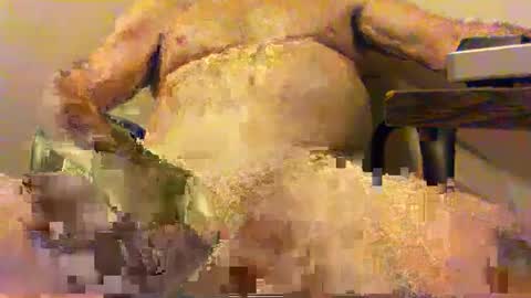  pervin  online show from February 5, 2025, 2:51 am