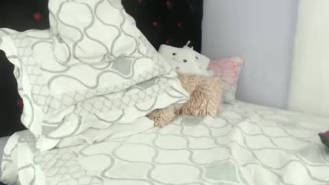 Alexa online show from January 29, 2025, 6:50 pm