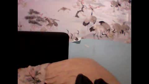 Snapshot of _sollar777 chatting on January 7, 2025, 1:06 am _sollar777 online show from January 7, 2025, 1:06 am