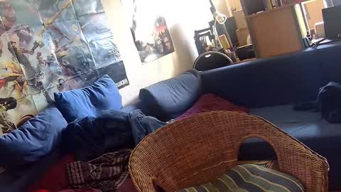 Sven online show from October 3, 2025, 11:07 am