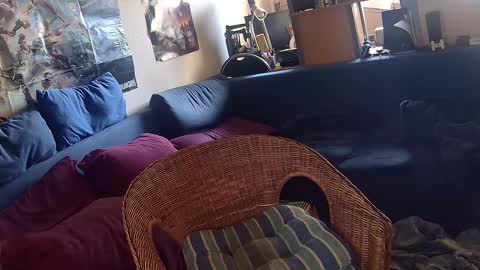 Sven online show from November 22, 2025, 12:15 pm