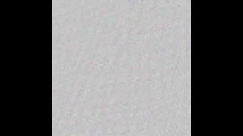 _tammarra_ online show from February 25, 2025, 12:03 pm