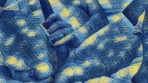 Evi online show from January 4, 2025, 3:29 am