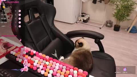 Snapshot of _viv1an_ chatting on December 15, 2025, 8:40 am Alis online show from December 15, 2025, 8:40 am