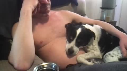 Snapshot of abe_froman2007 chatting on March 8, 2025, 10:13 pm abe_froman2007 online show from March 8, 2025, 10:13 pm