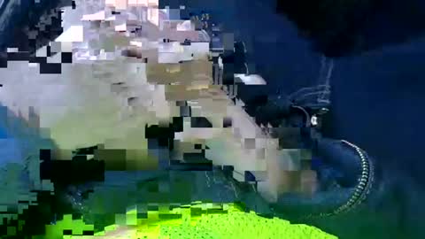 Ace online show from January 14, 2025, 1:49 pm