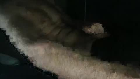 acid_lab online show from December 16, 2024, 2:27 pm